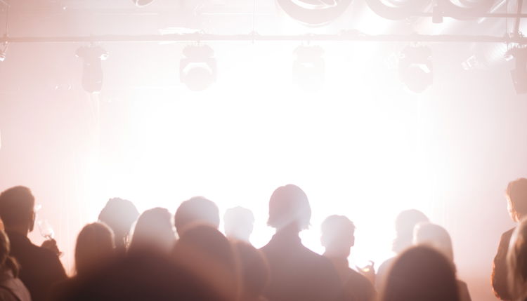 Mennesker på konsert